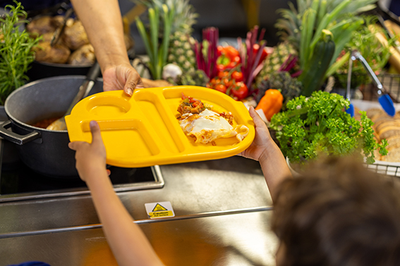 Colourful school lunch options