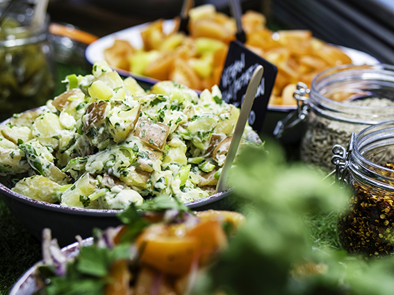 Fresh salad and ingredients